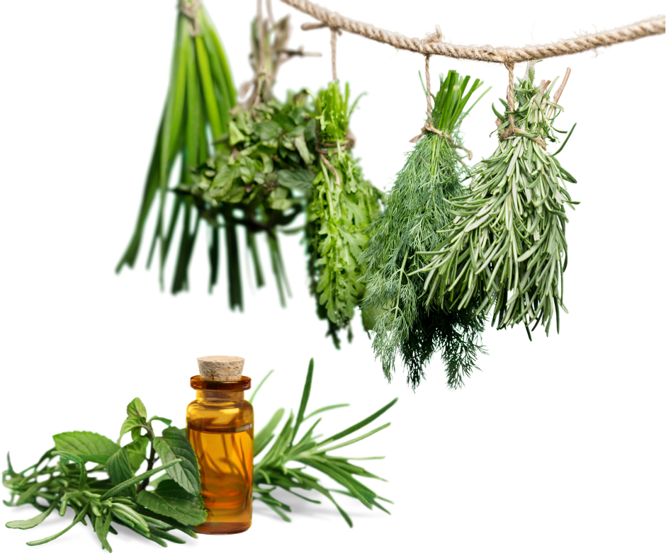 Healthy benefits of herbs and spices