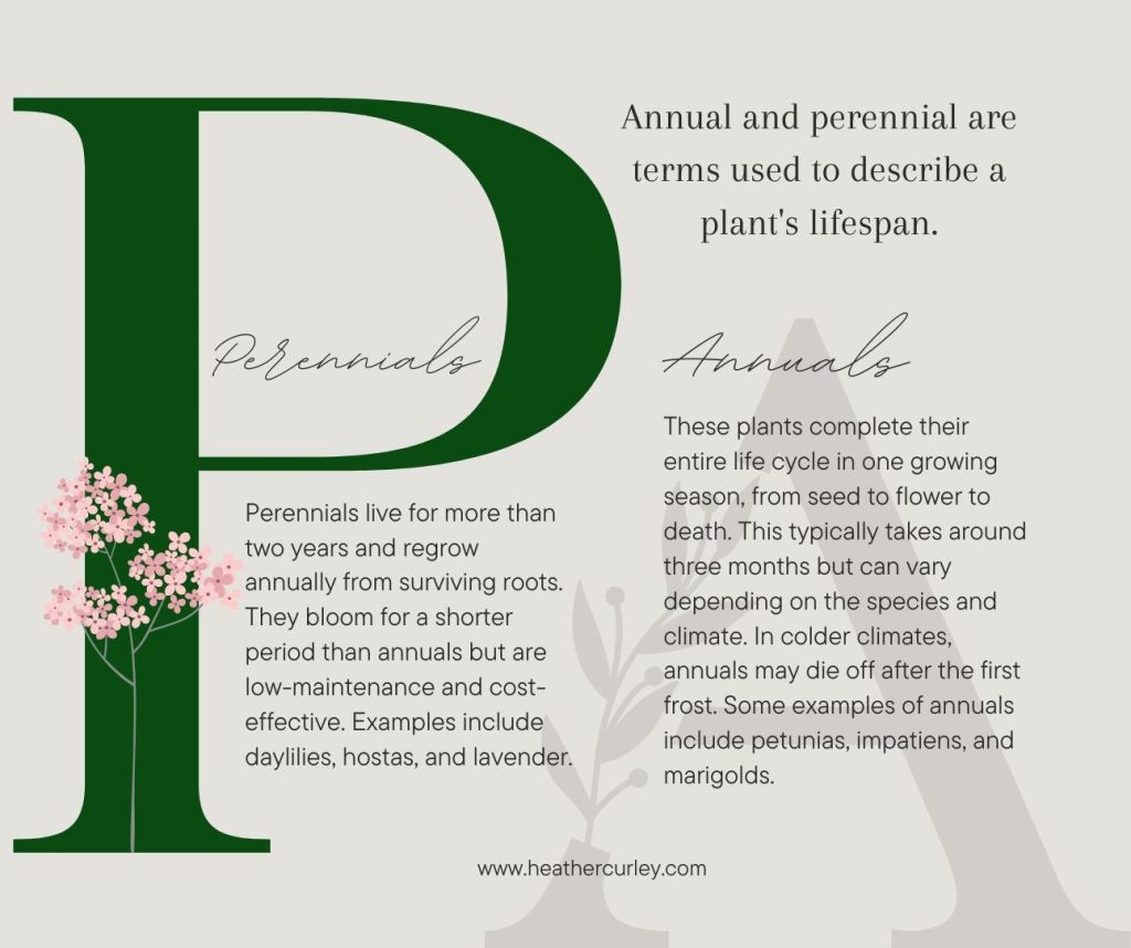 Annual and perennial are terms used to describe the lifespan of a plant. 