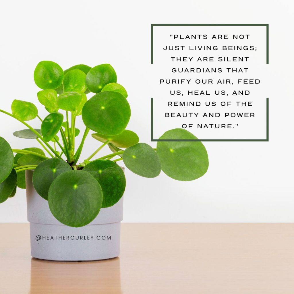 🌿 Plant are not just living bne