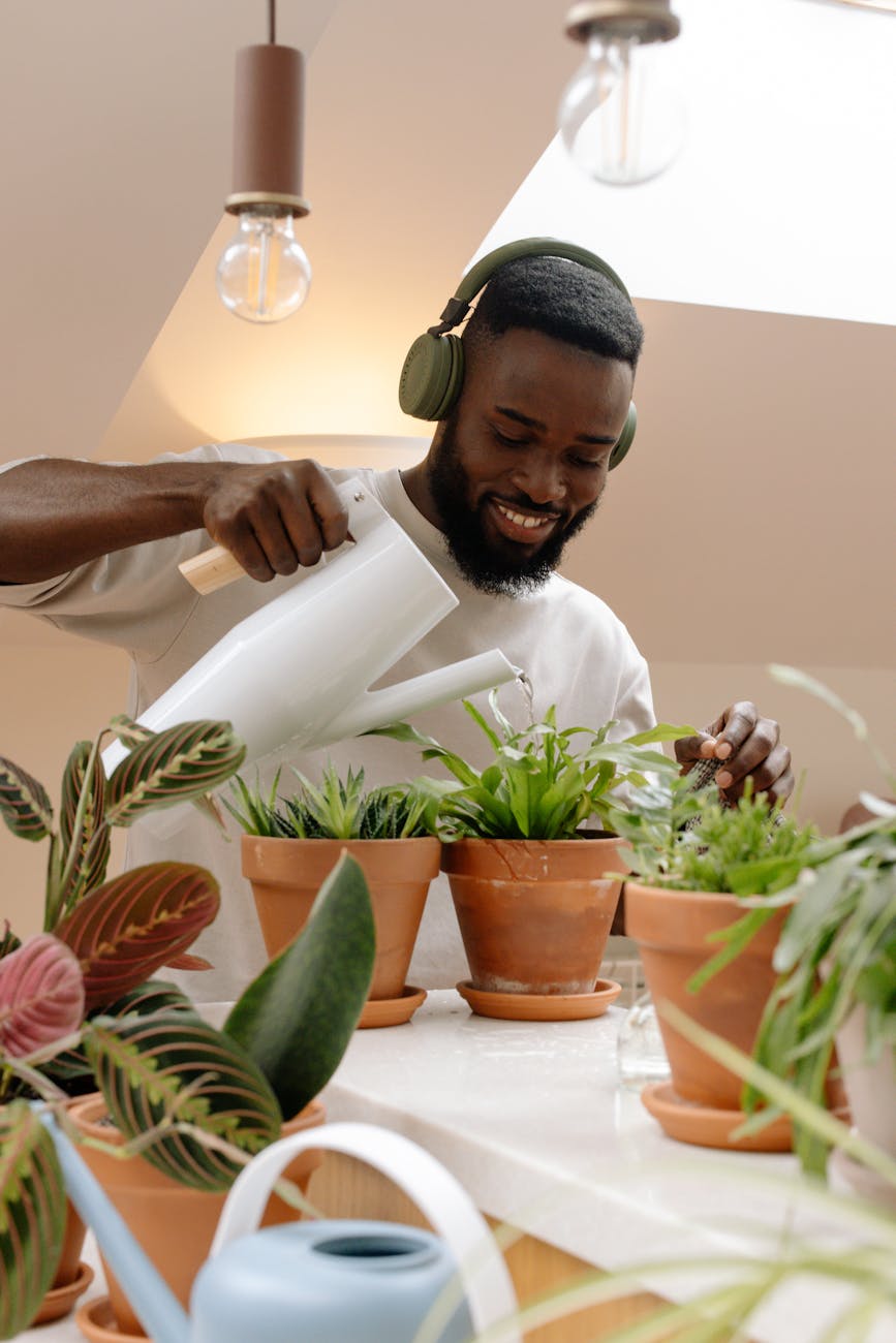 Houseplant TLC 101 | Splashy Watering Wisdom

Watering Tips for thriving plants 