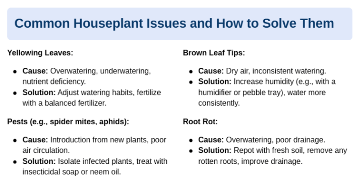 Common-Houseplant-Issues-and-How-to-Solve-Them