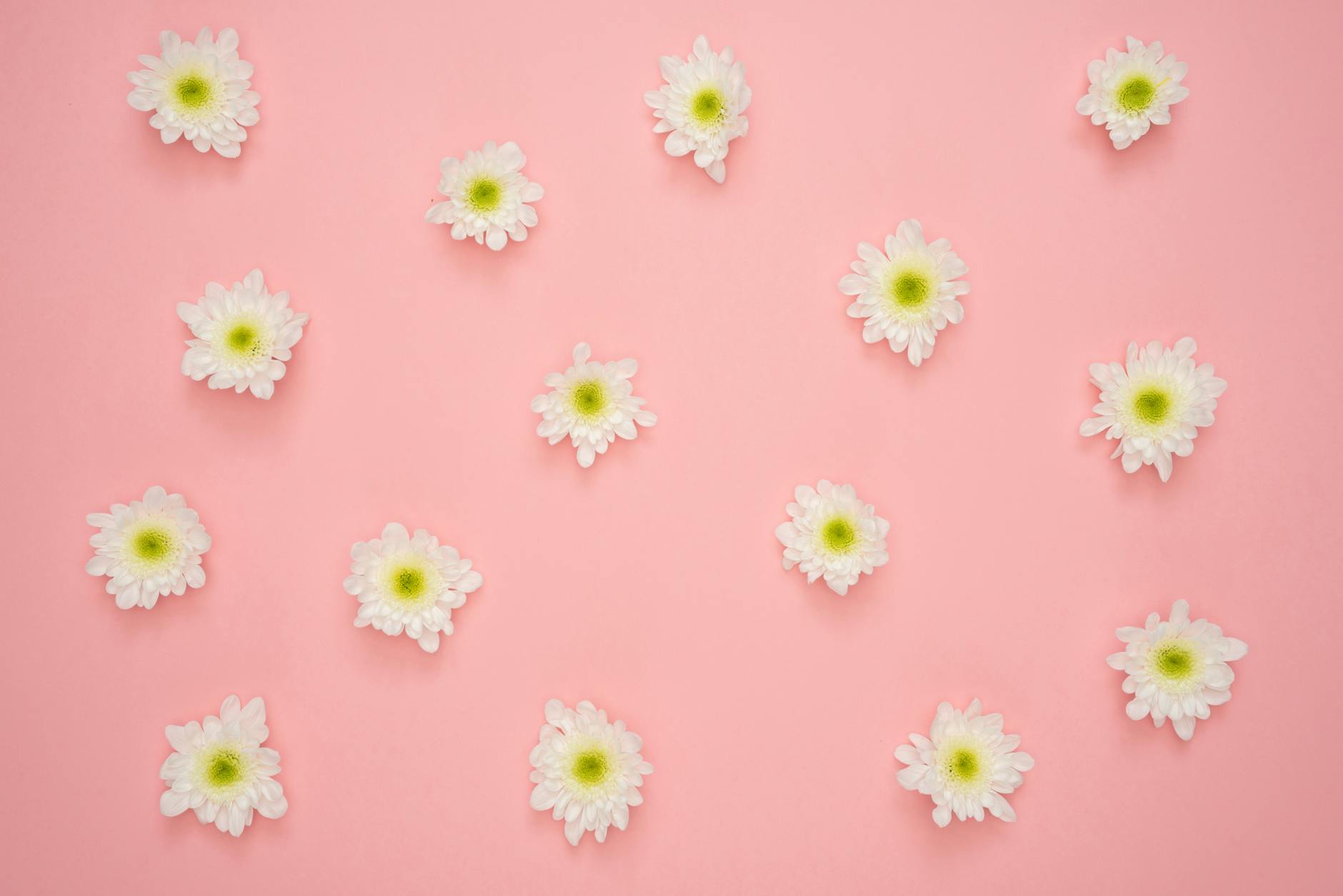 Mastering the Art of Conversation: Essential Tips for Meaningful Interactions