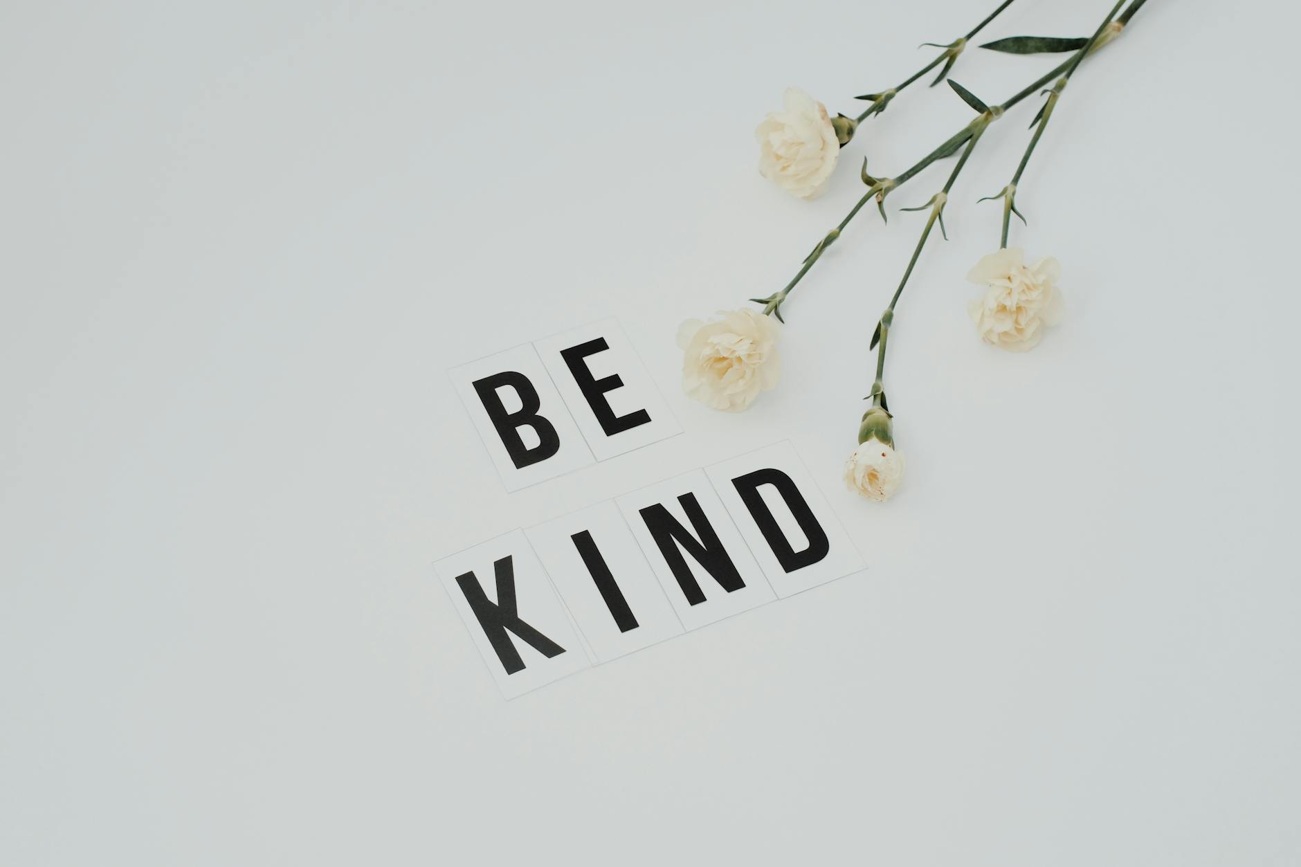 Be-Kind-White-Flowers